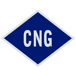 انژکتور و CNG