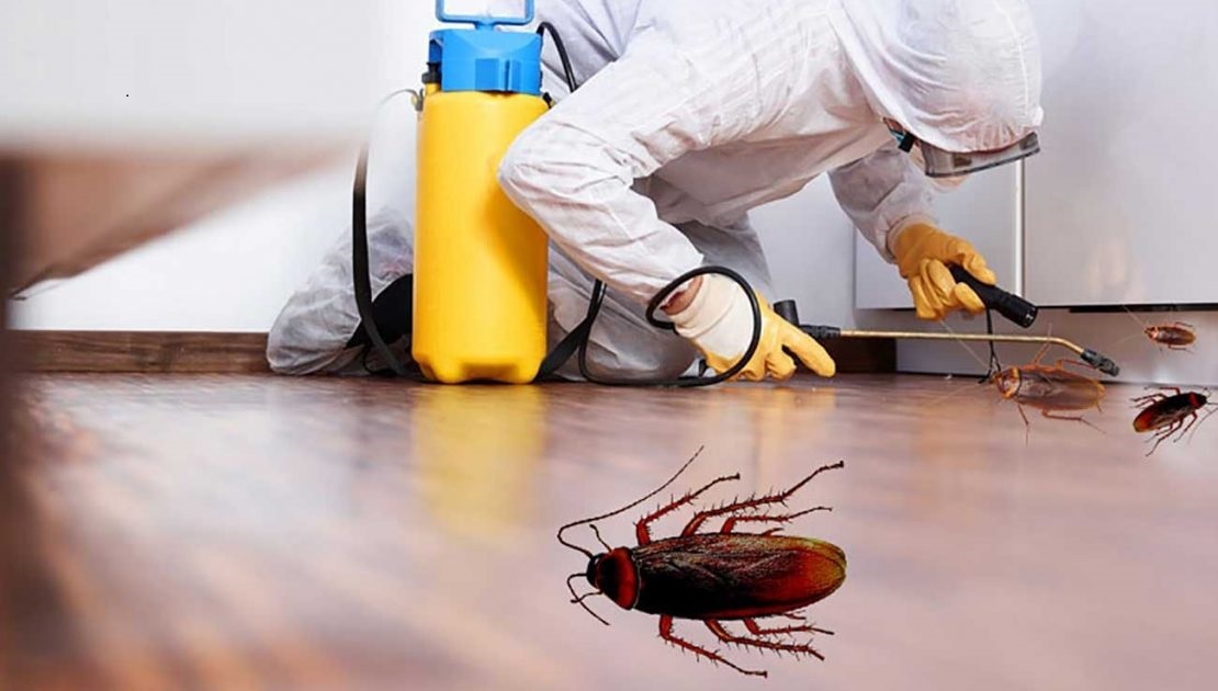  خدمات سم‌پاشی