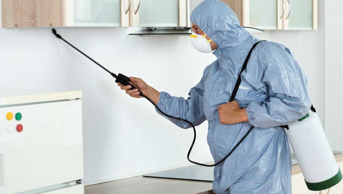  خدمات سم‌پاشی