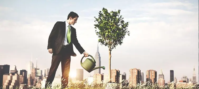 رشد کسب و کار