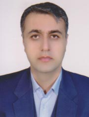 امیر محمدی نسب