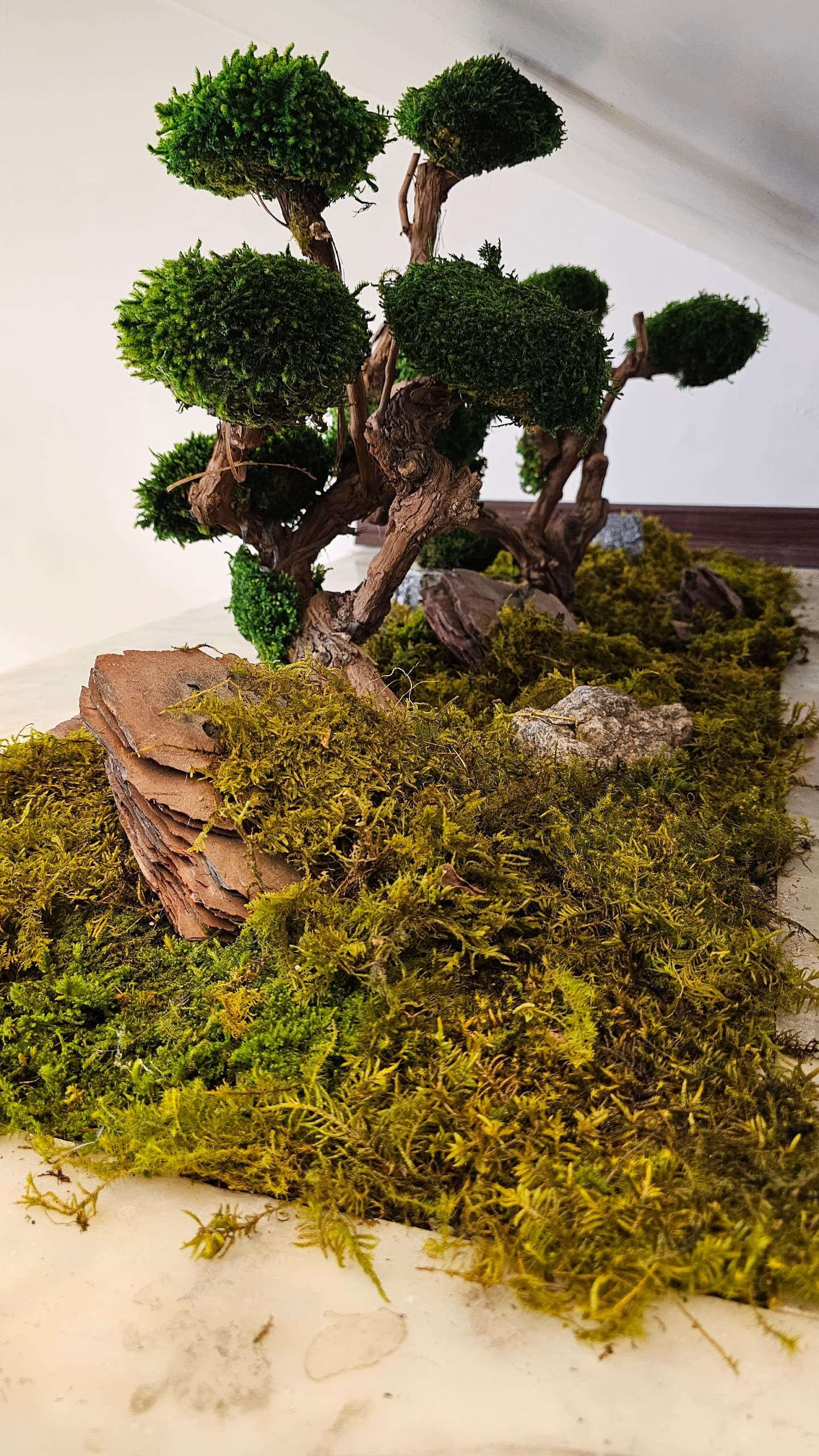 طراحی فضای سبز,روف گاردن،تراس گاردن،واولین طراح ومجری گیاهان بایوفیلیک در جنوب کشور