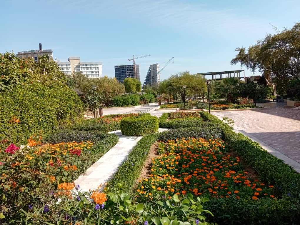 طراحی فضای سبز,روف گاردن،تراس گاردن،واولین طراح ومجری گیاهان بایوفیلیک در جنوب کشور