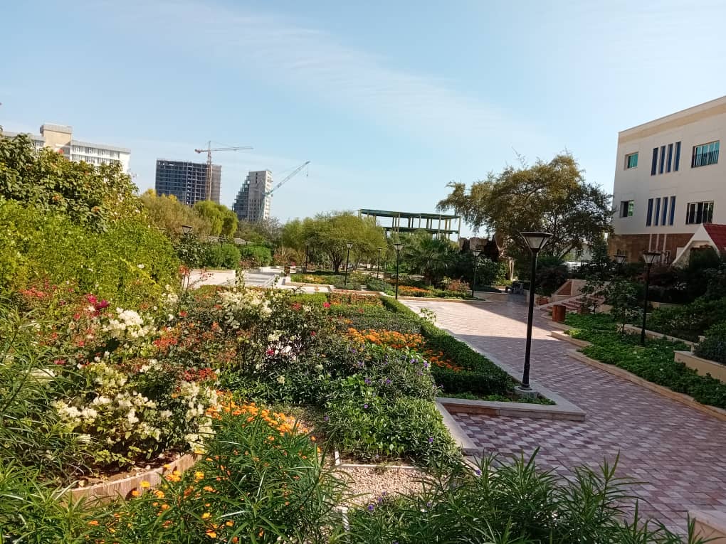 طراحی فضای سبز,روف گاردن،تراس گاردن،واولین طراح ومجری گیاهان بایوفیلیک در جنوب کشور