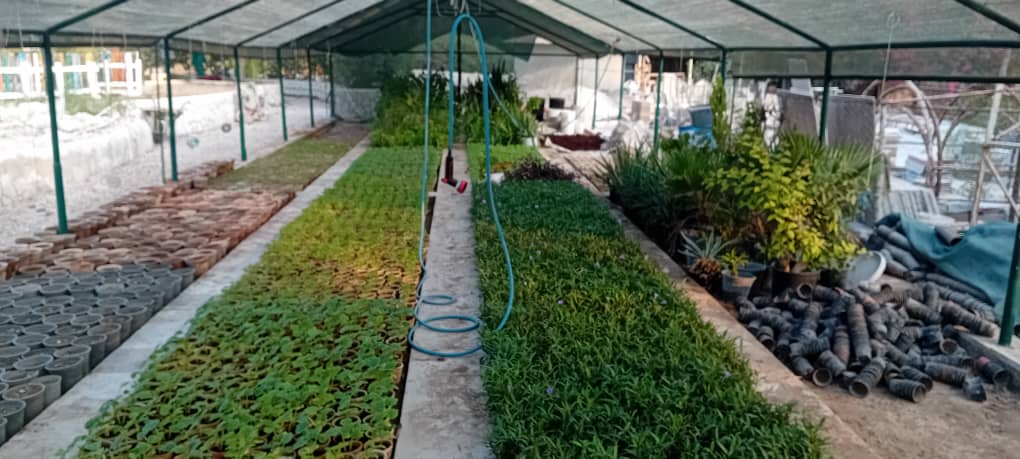 مهندس عمران، مهندس کشاورزی گیاهپزشکی،طراح ومجری فضای سبز