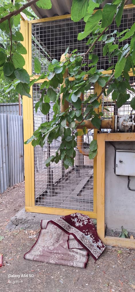 شرکت تاسیساتی ساطع